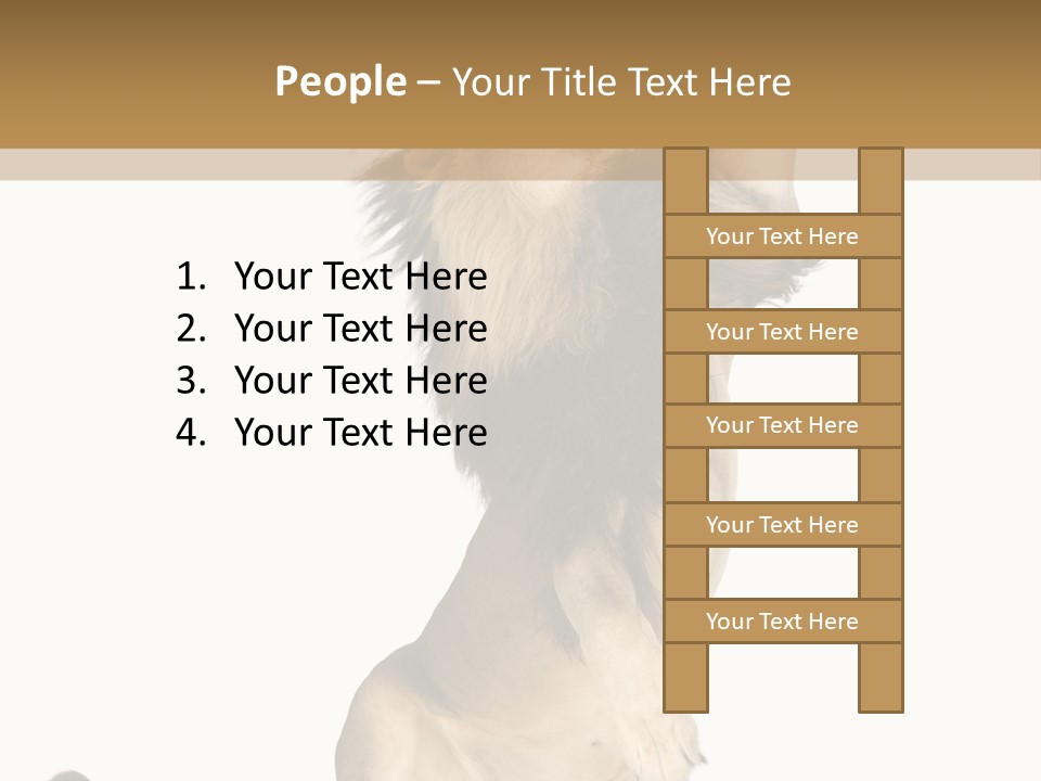 Studio Shot Isolated On White Looking Up PowerPoint Template