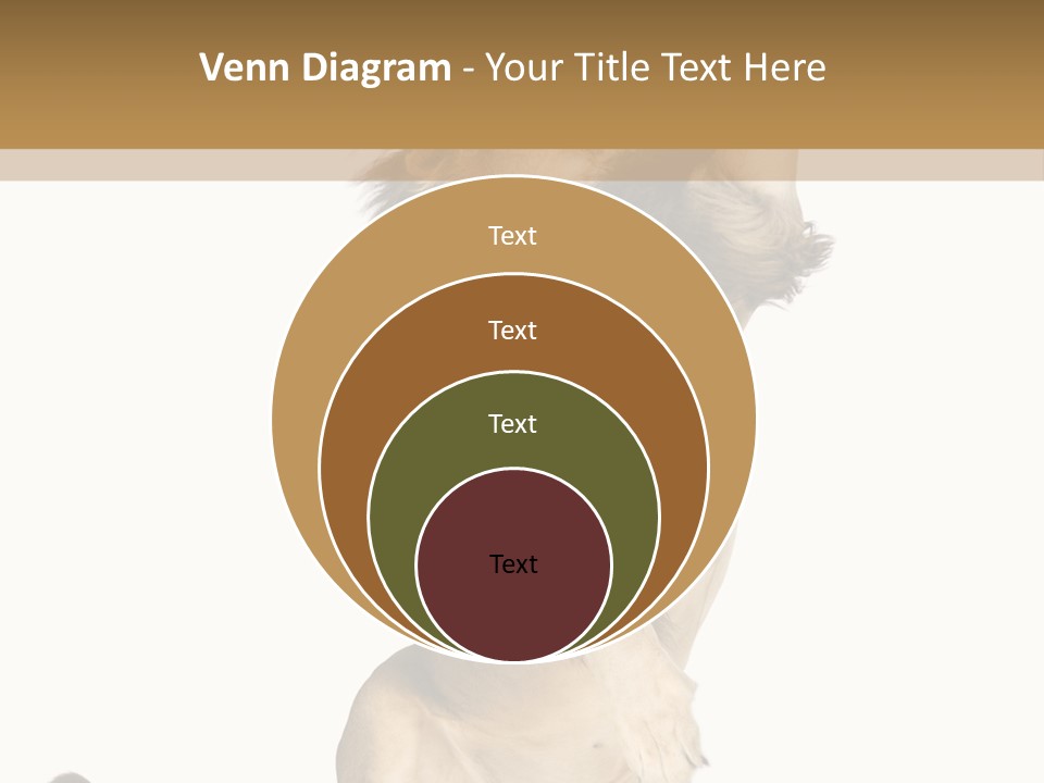 Studio Shot Isolated On White Looking Up PowerPoint Template