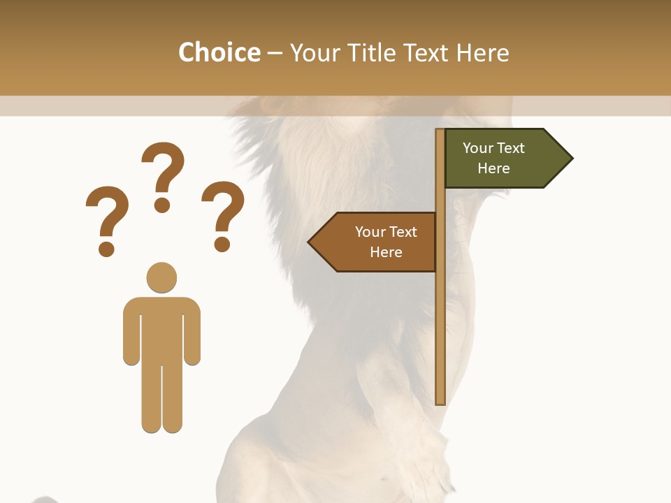 Studio Shot Isolated On White Looking Up PowerPoint Template