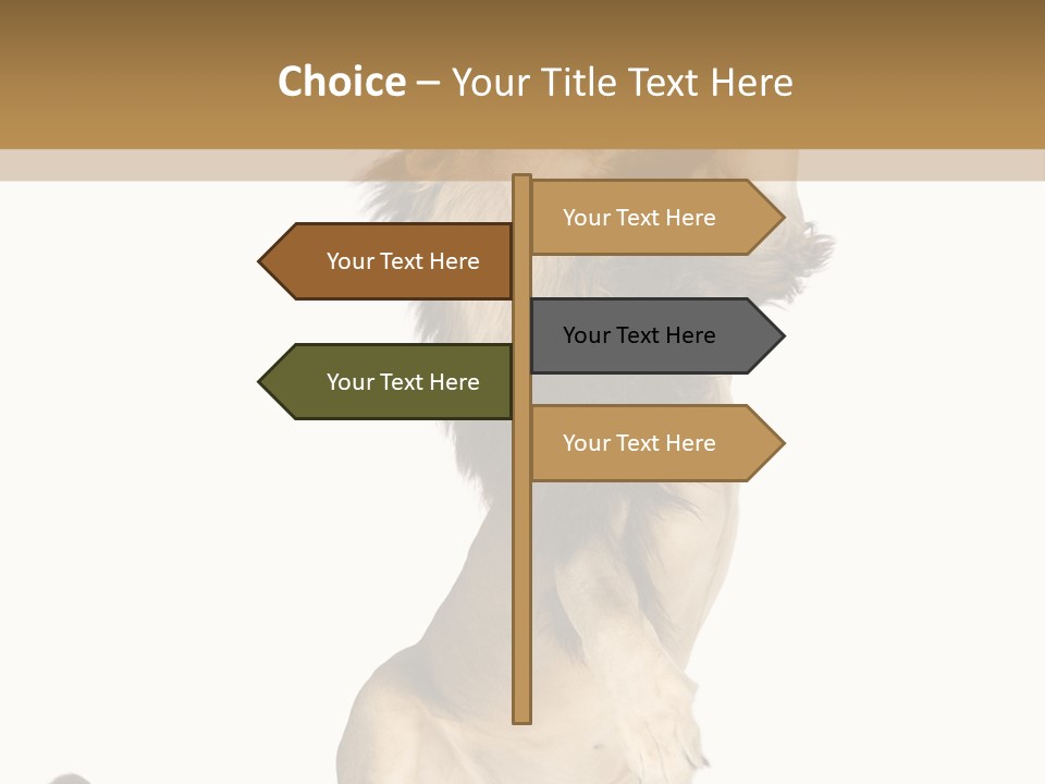 Studio Shot Isolated On White Looking Up PowerPoint Template