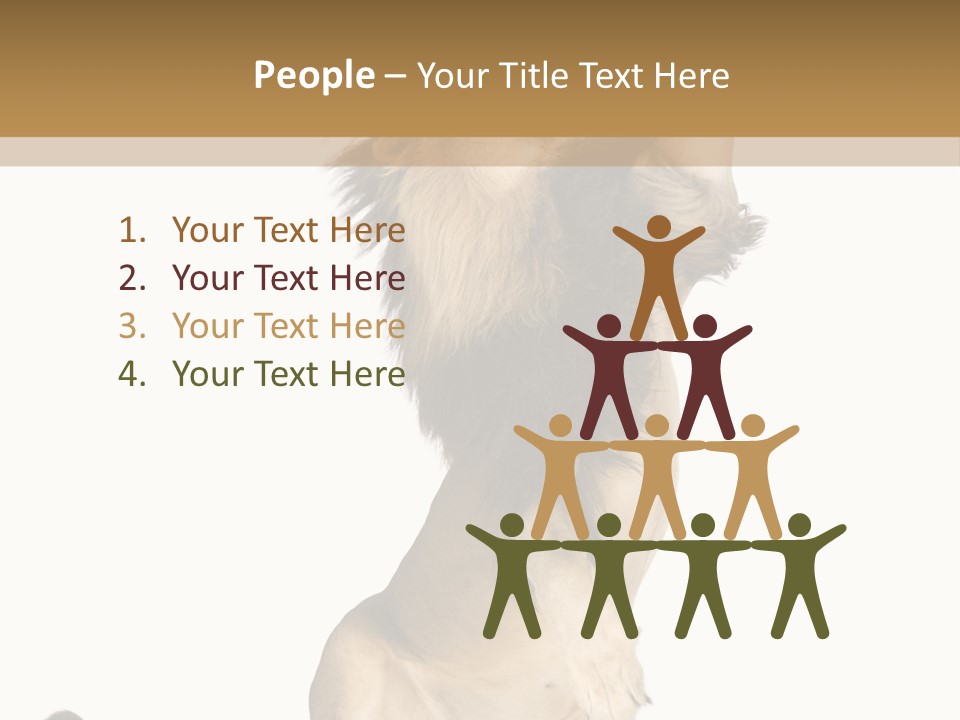 Studio Shot Isolated On White Looking Up PowerPoint Template