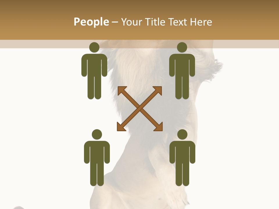 Studio Shot Isolated On White Looking Up PowerPoint Template