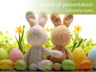 Nobody Bunny Green PowerPoint Template