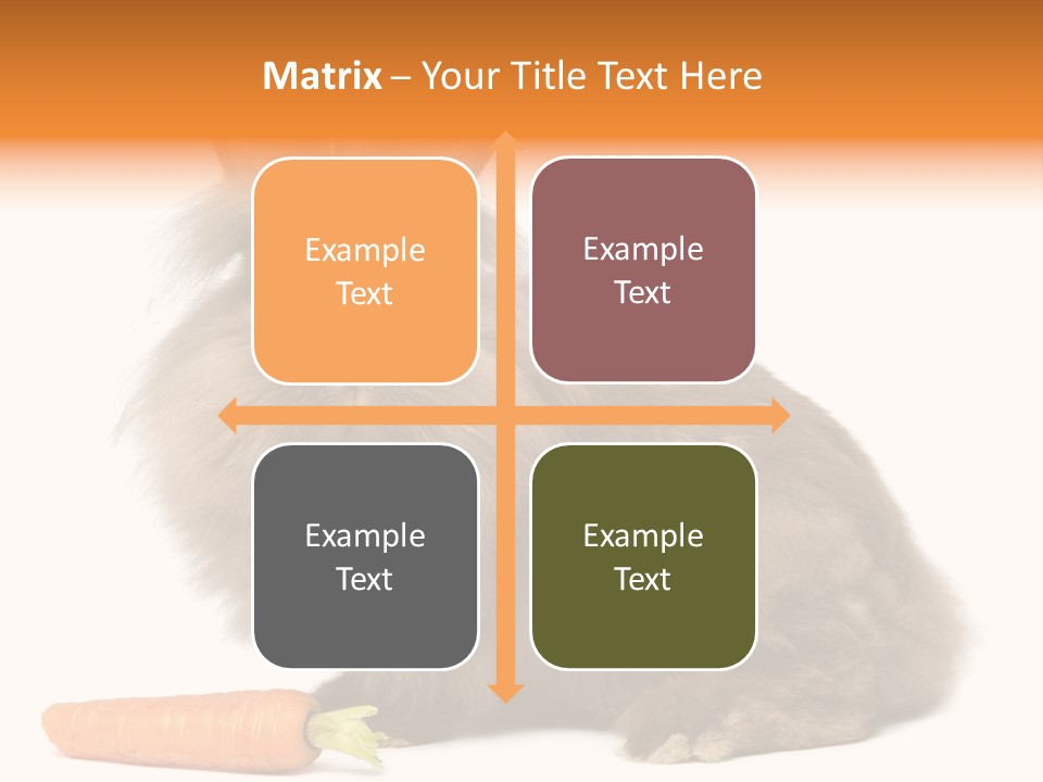 Little Bunny Rabbit Studio PowerPoint Template