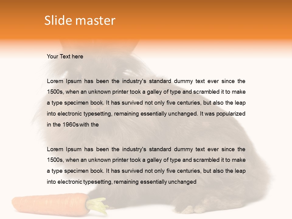 Little Bunny Rabbit Studio PowerPoint Template