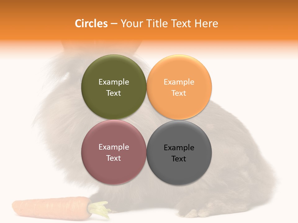 Little Bunny Rabbit Studio PowerPoint Template