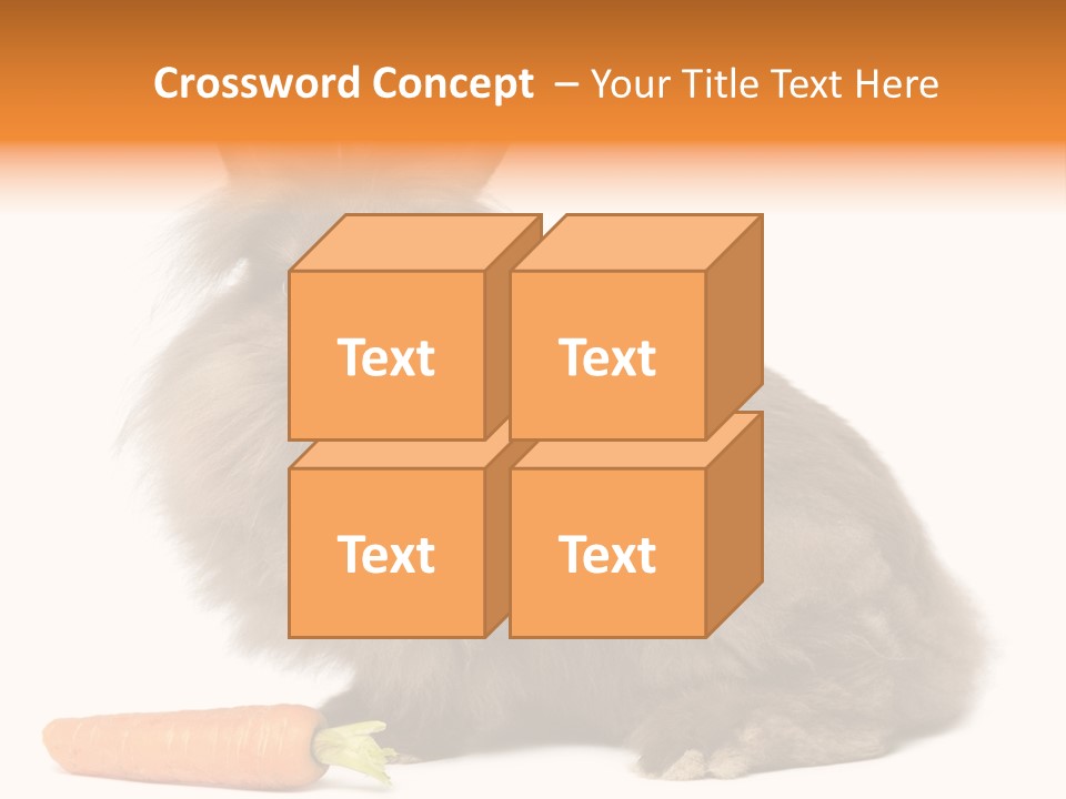 Little Bunny Rabbit Studio PowerPoint Template