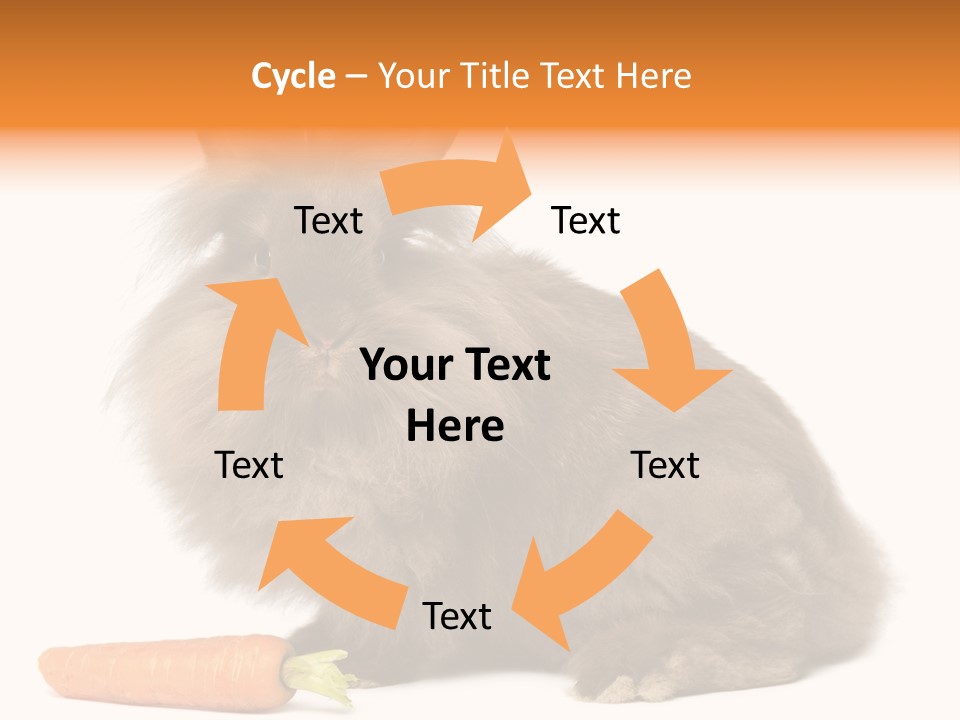 Little Bunny Rabbit Studio PowerPoint Template