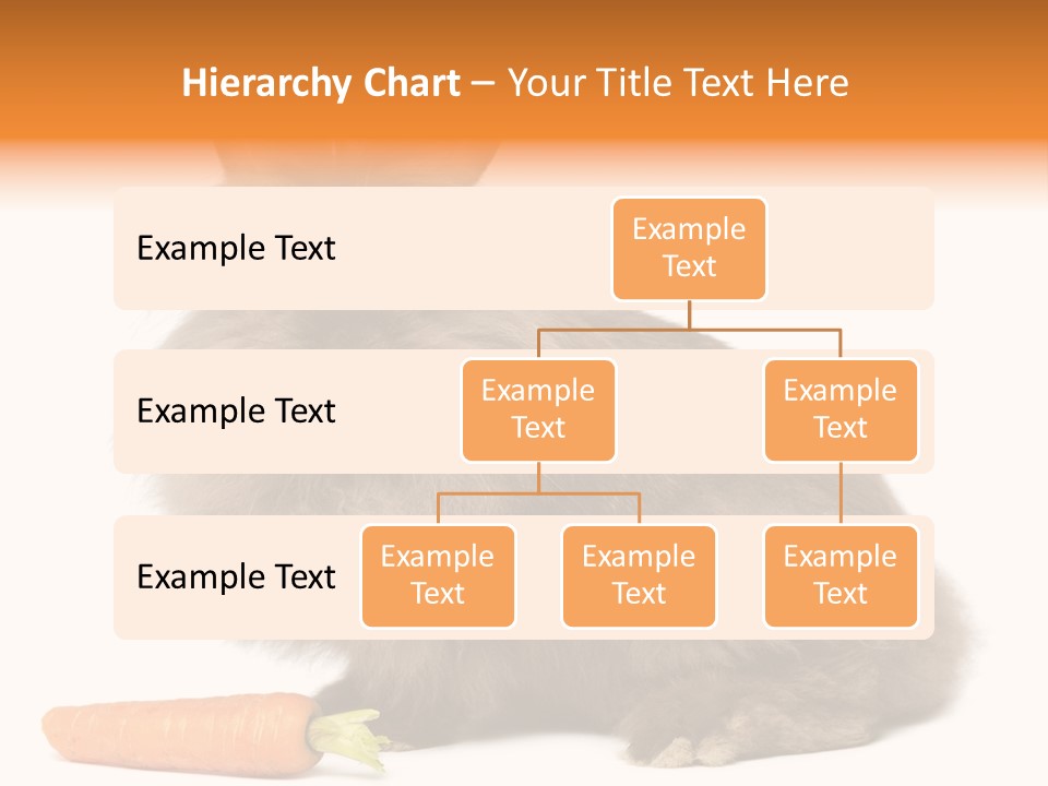 Little Bunny Rabbit Studio PowerPoint Template