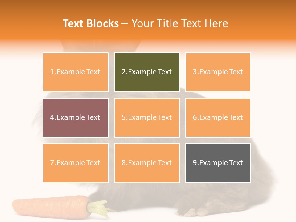 Little Bunny Rabbit Studio PowerPoint Template