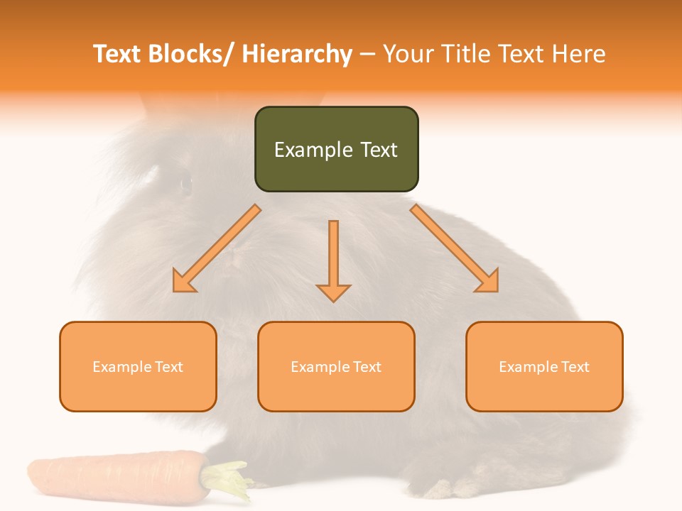 Little Bunny Rabbit Studio PowerPoint Template