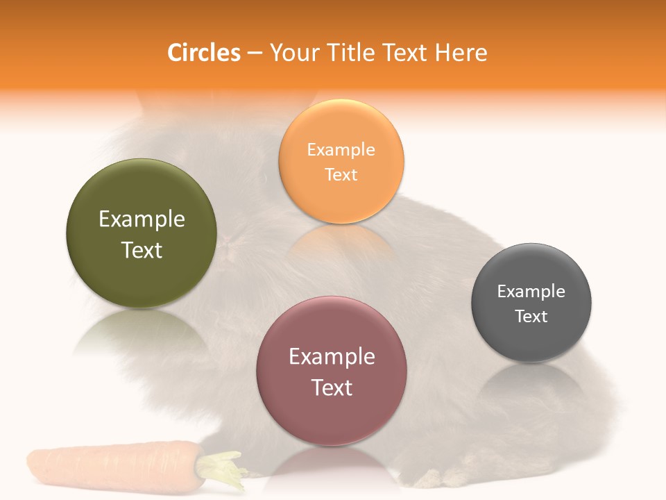 Little Bunny Rabbit Studio PowerPoint Template