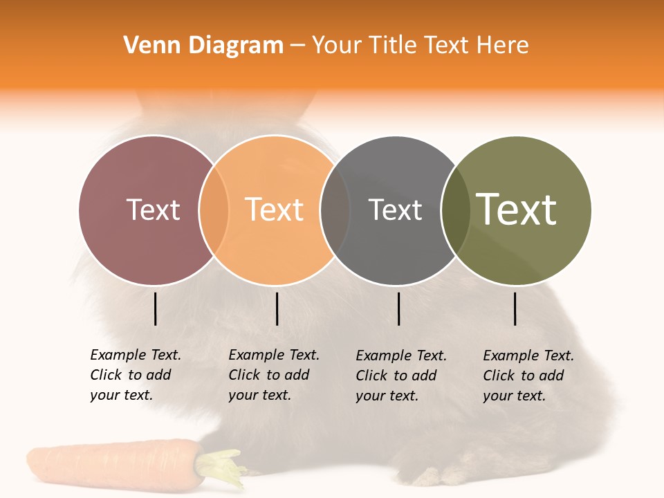 Little Bunny Rabbit Studio PowerPoint Template