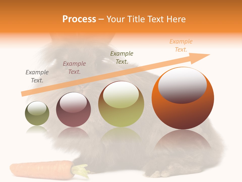 Little Bunny Rabbit Studio PowerPoint Template