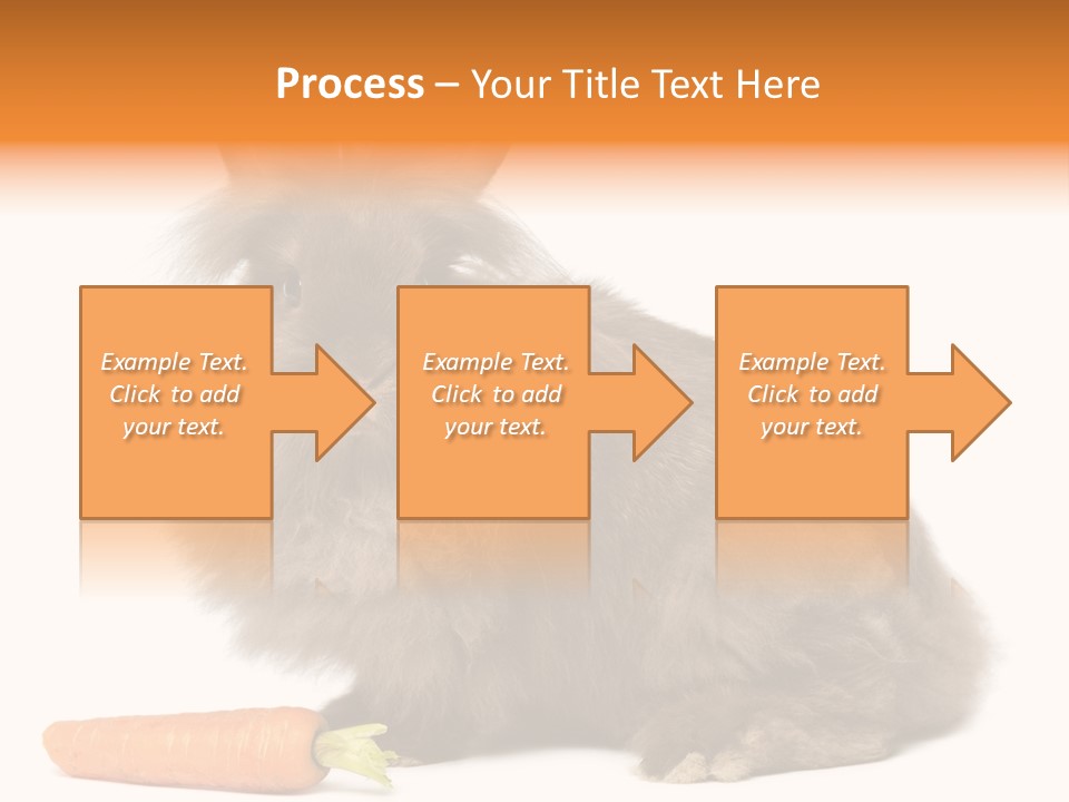 Little Bunny Rabbit Studio PowerPoint Template