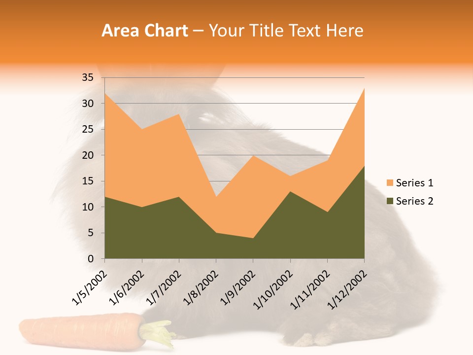 Little Bunny Rabbit Studio PowerPoint Template