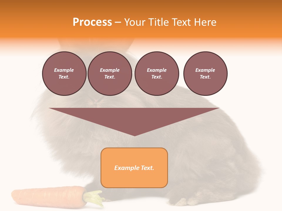 Little Bunny Rabbit Studio PowerPoint Template