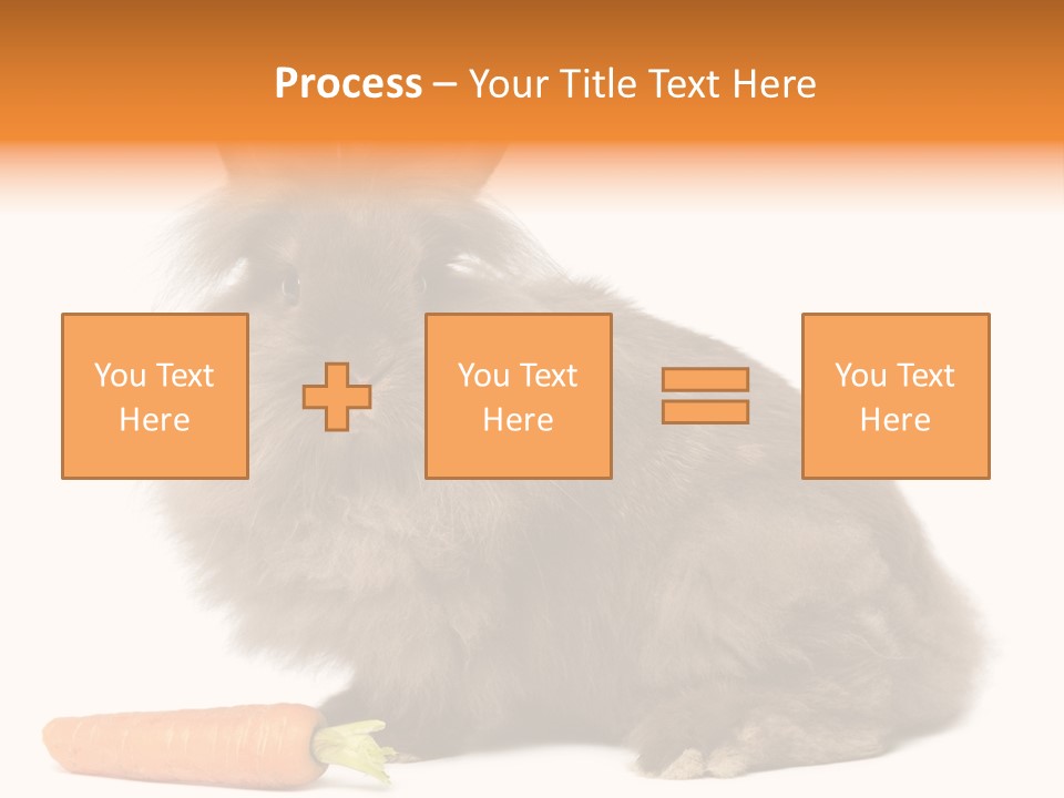 Little Bunny Rabbit Studio PowerPoint Template