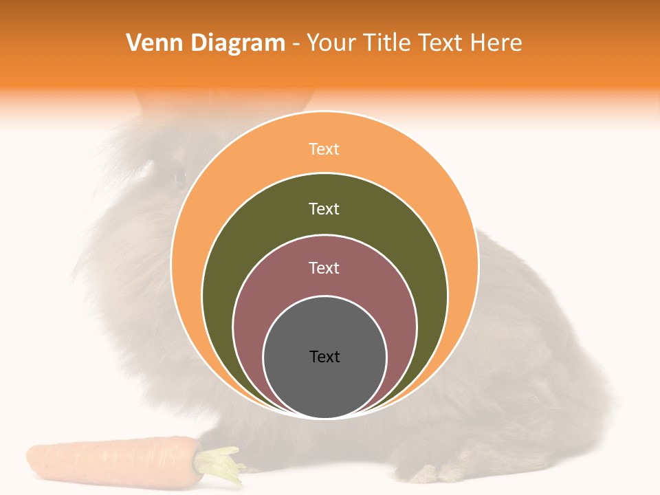 Little Bunny Rabbit Studio PowerPoint Template