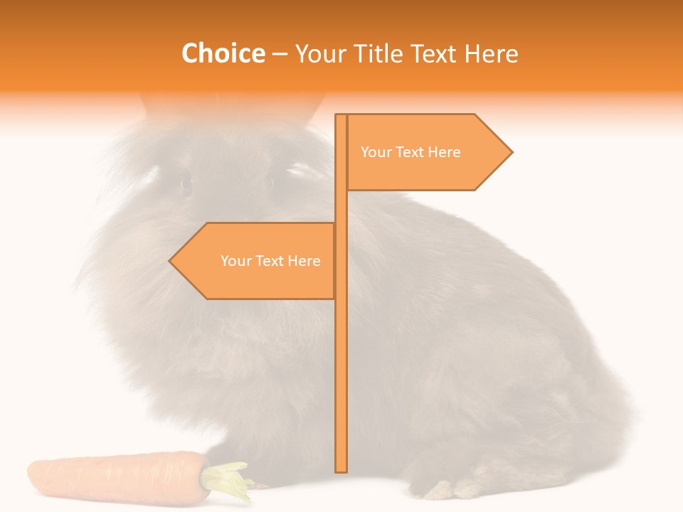 Little Bunny Rabbit Studio PowerPoint Template