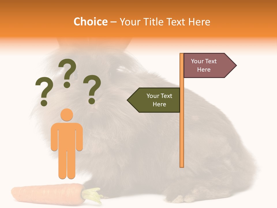 Little Bunny Rabbit Studio PowerPoint Template