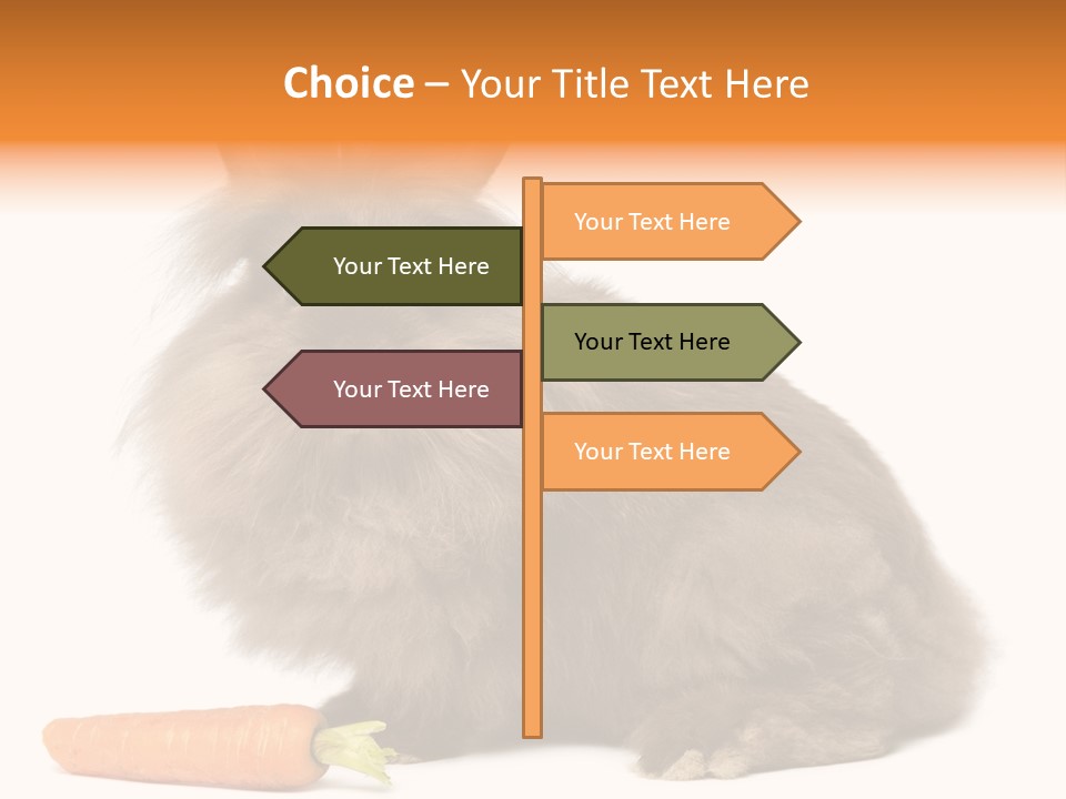 Little Bunny Rabbit Studio PowerPoint Template