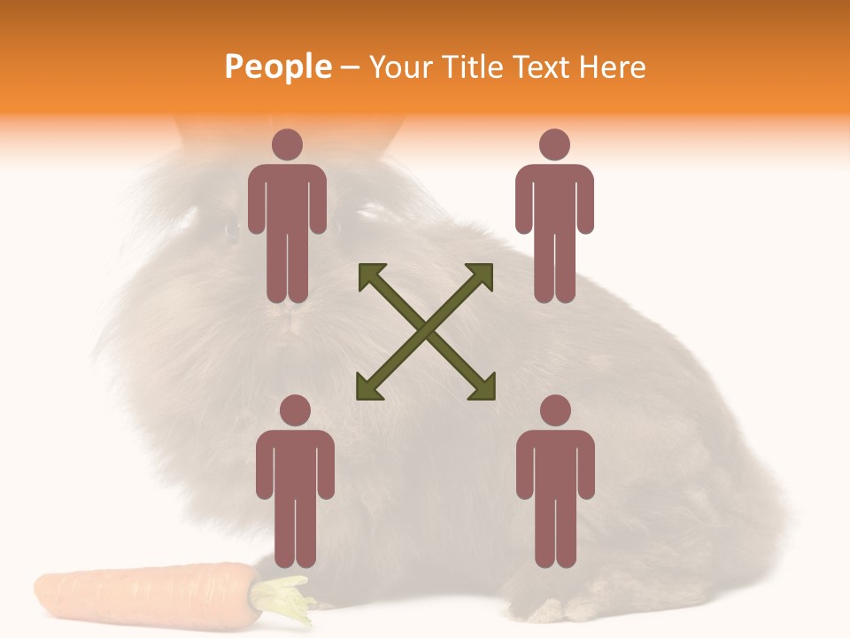 Little Bunny Rabbit Studio PowerPoint Template