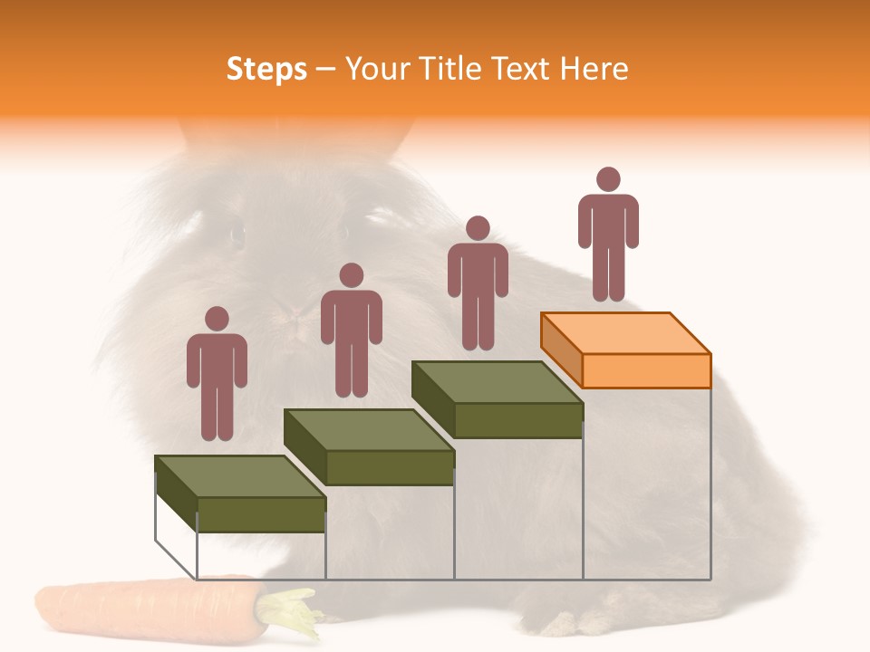 Little Bunny Rabbit Studio PowerPoint Template