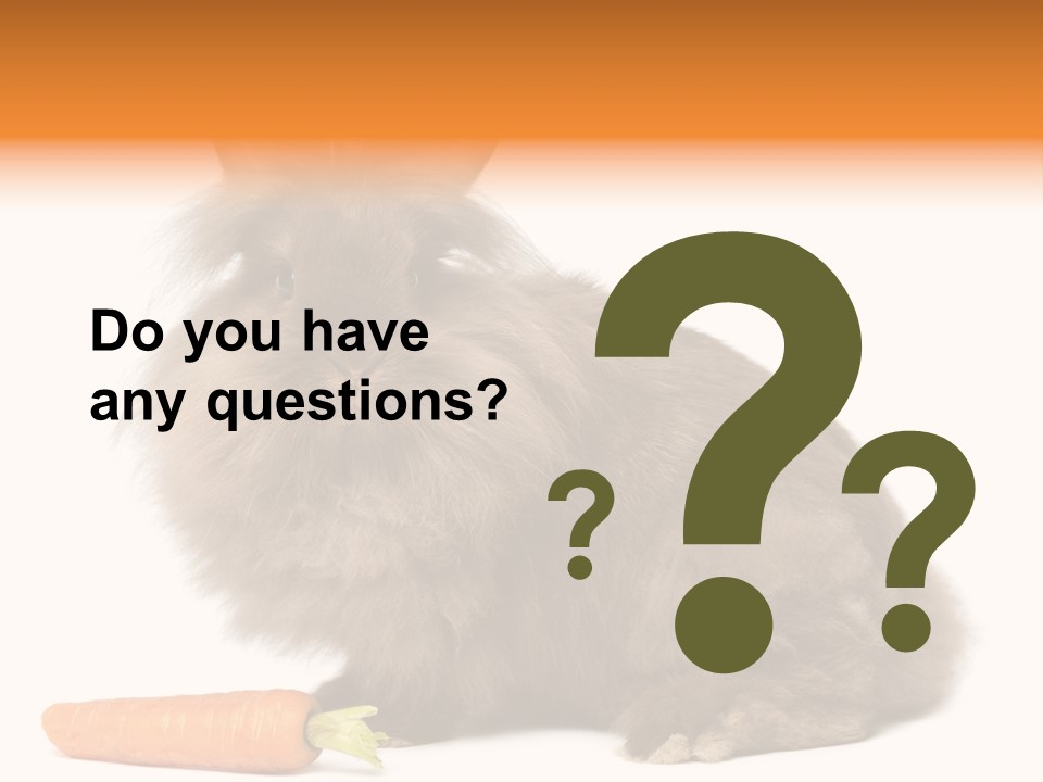 Little Bunny Rabbit Studio PowerPoint Template