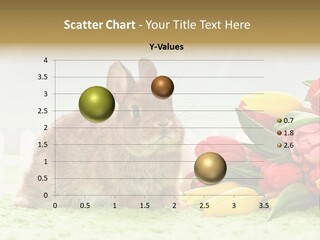 Feiertag Blumenstraussm Tier PowerPoint Template