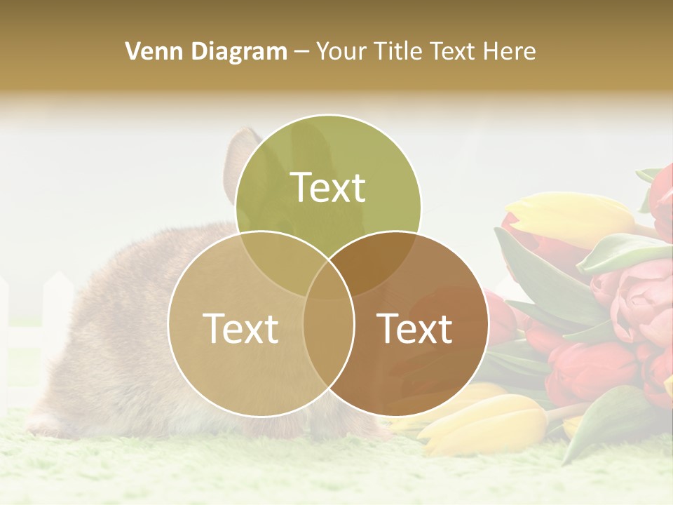 Feiertag Blumenstraussm Tier PowerPoint Template