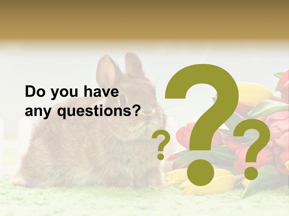 Feiertag Blumenstraussm Tier PowerPoint Template