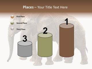Big Photo Skin PowerPoint Template