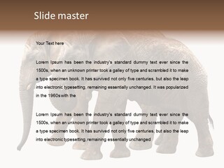 Big Photo Skin PowerPoint Template