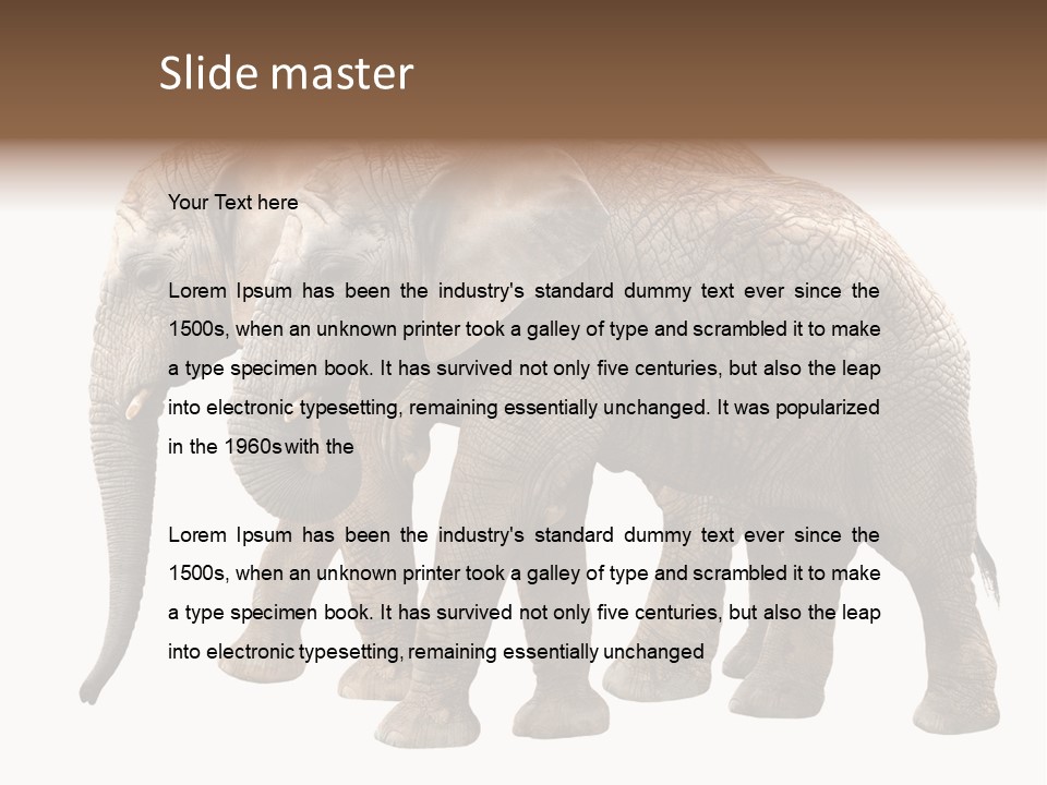 Big Photo Skin PowerPoint Template