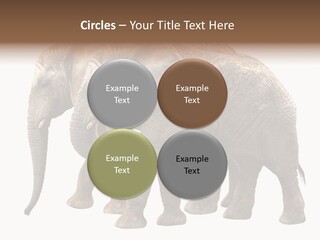 Big Photo Skin PowerPoint Template