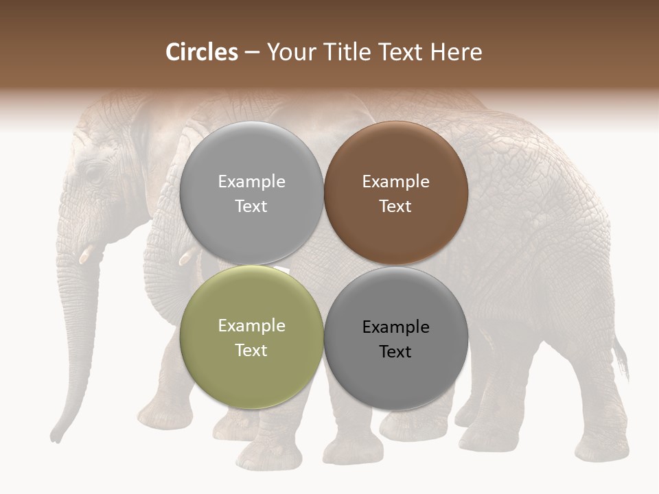 Big Photo Skin PowerPoint Template