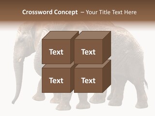 Big Photo Skin PowerPoint Template