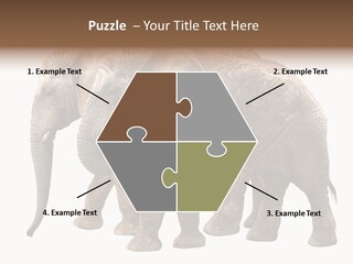 Big Photo Skin PowerPoint Template