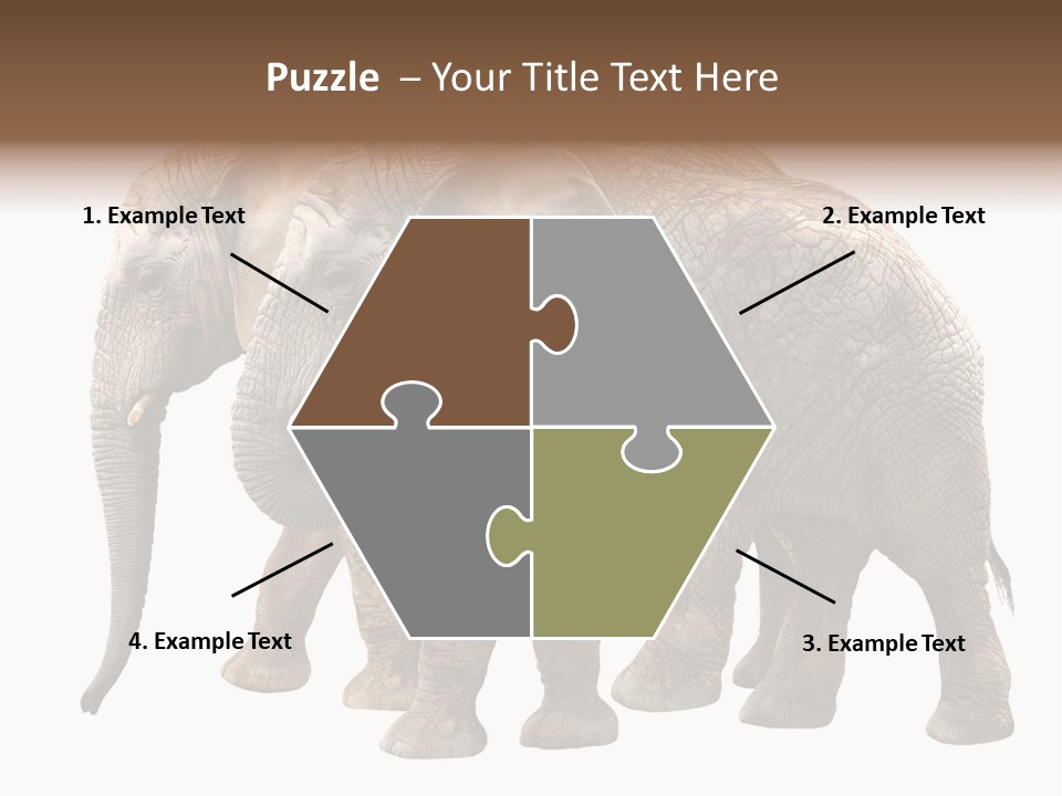 Big Photo Skin PowerPoint Template