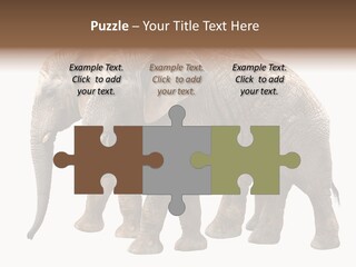 Big Photo Skin PowerPoint Template