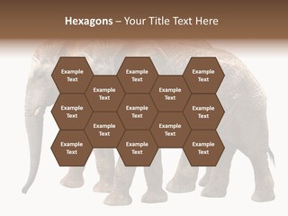 Big Photo Skin PowerPoint Template