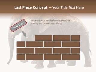 Big Photo Skin PowerPoint Template