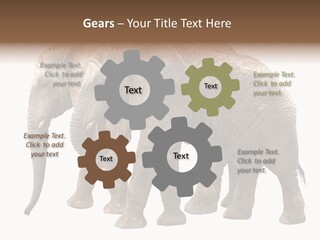 Big Photo Skin PowerPoint Template
