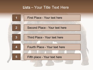 Big Photo Skin PowerPoint Template