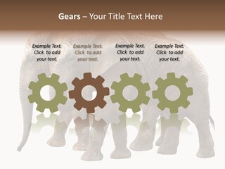 Big Photo Skin PowerPoint Template