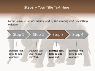 Big Photo Skin PowerPoint Template