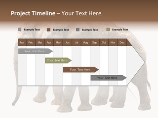 Big Photo Skin PowerPoint Template