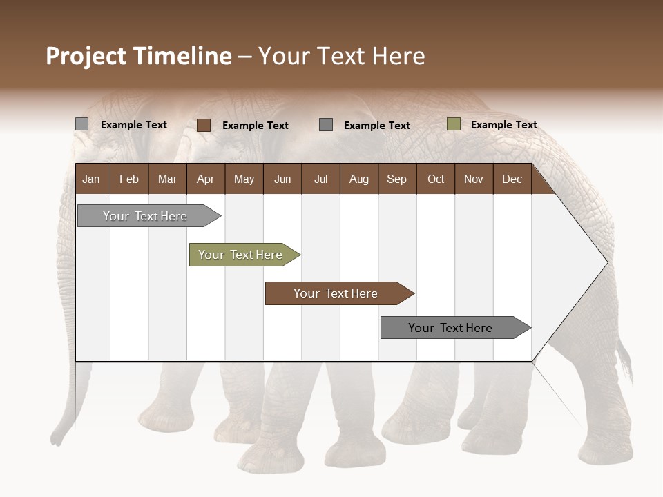 Big Photo Skin PowerPoint Template