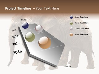 Big Photo Skin PowerPoint Template